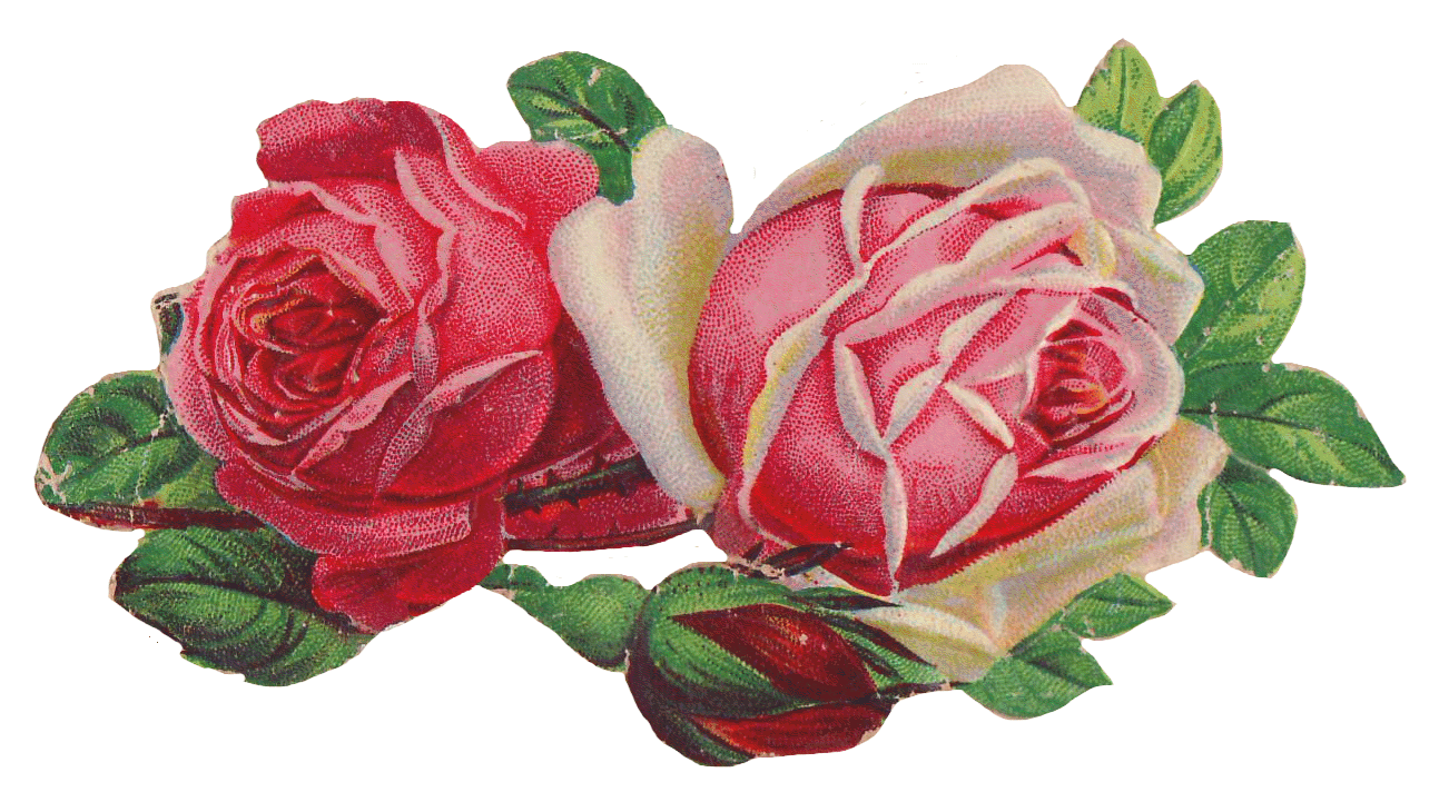 Clipart roses vintage. Victorian 