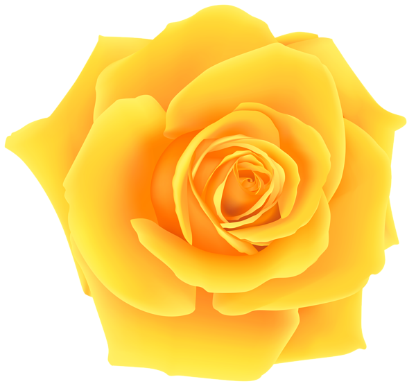 Clipart roses yellow rose. Png clip art image