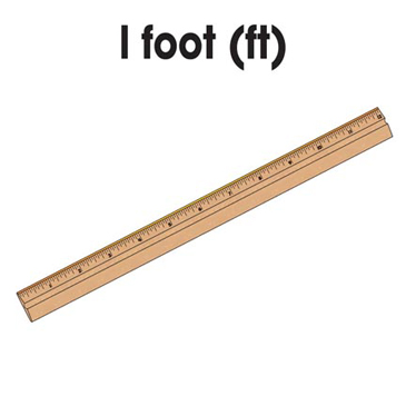 clipart ruler foot ruler