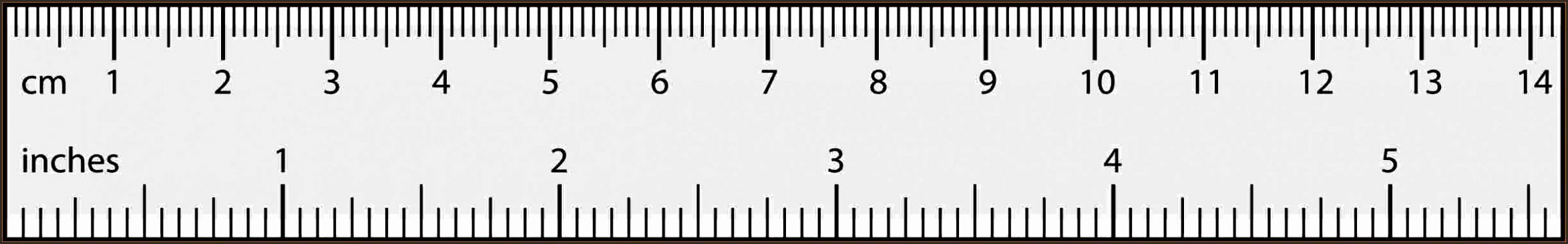 clipart ruler life size