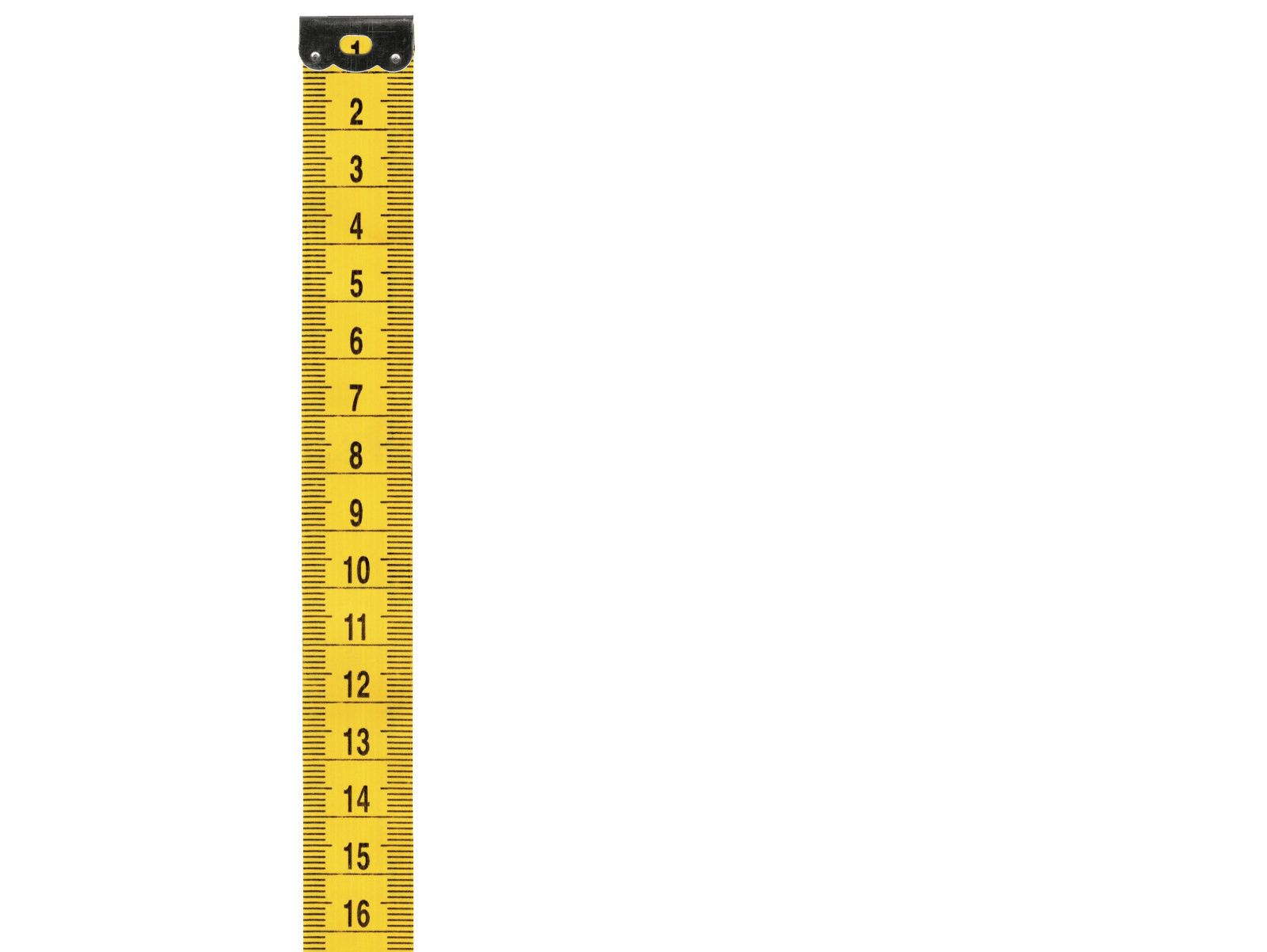 ruler clipart measurement