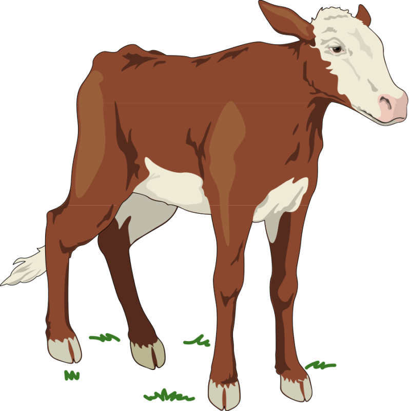 wagon clipart cow