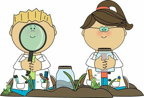 kindergarten clipart science
