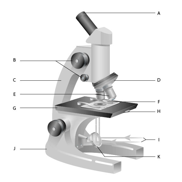 microscope clipart experiment