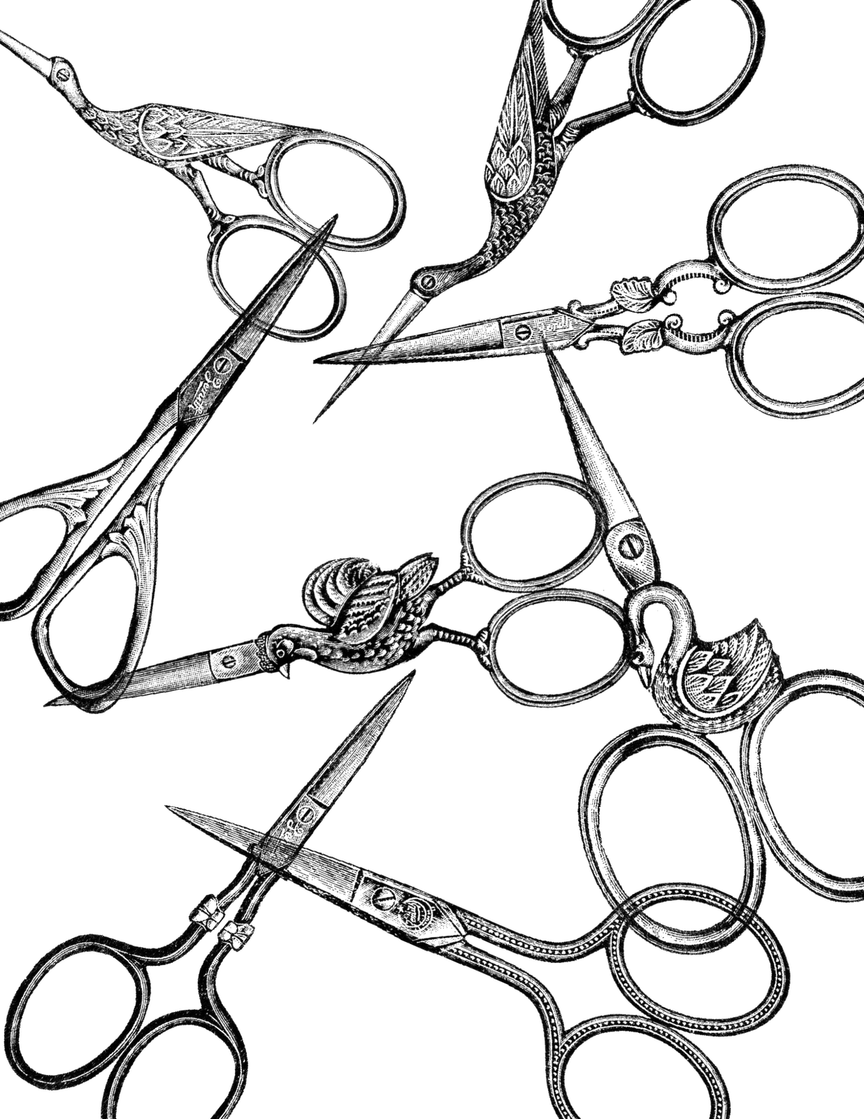 Clipart scissors drawing. Vintage clip art png