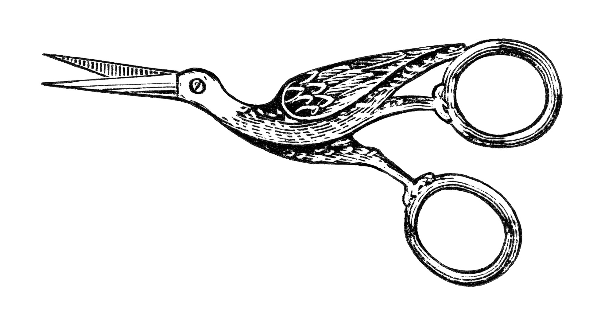 Bird clip art old. Shears clipart embroidery scissors