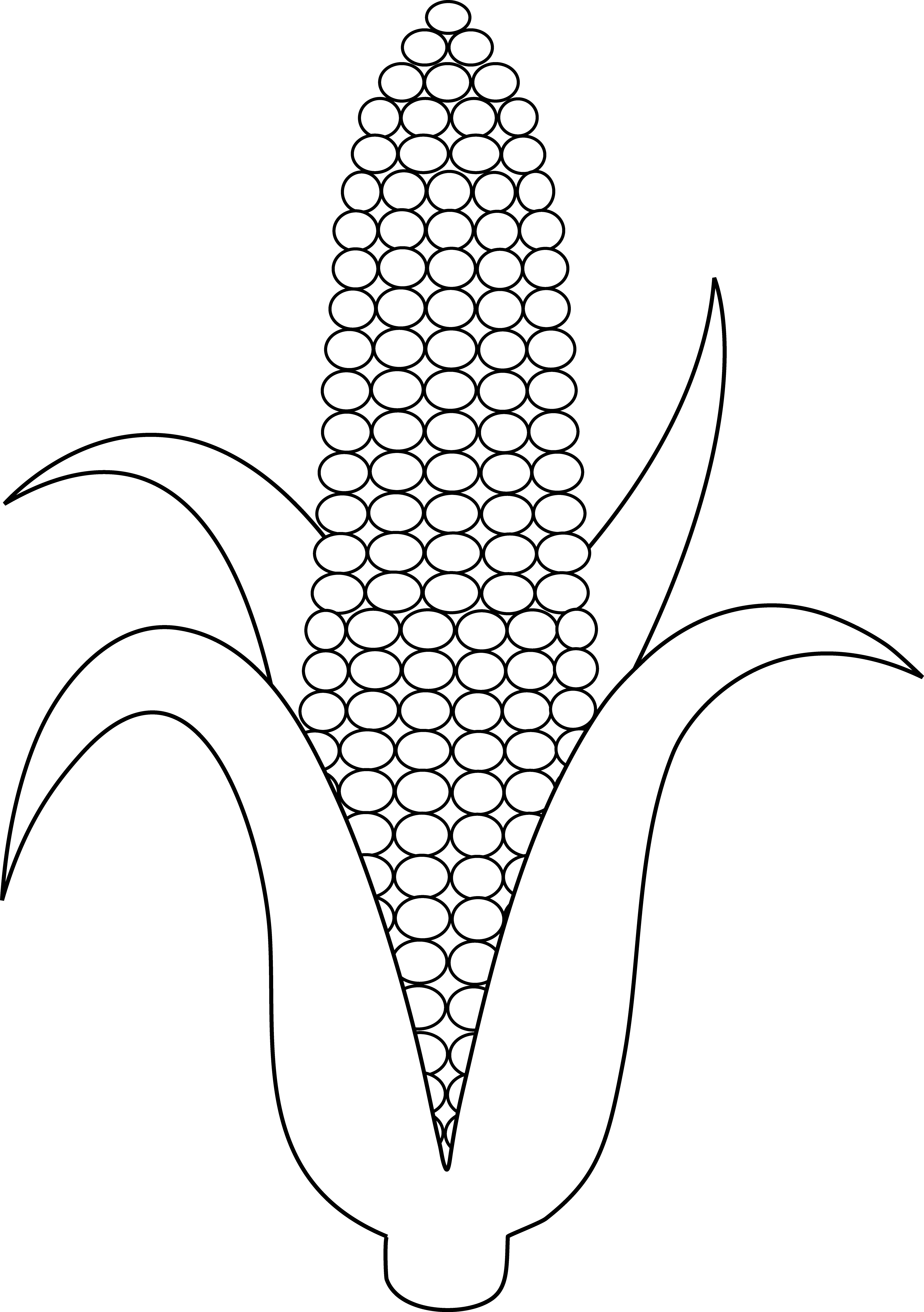 shapes clipart corn
