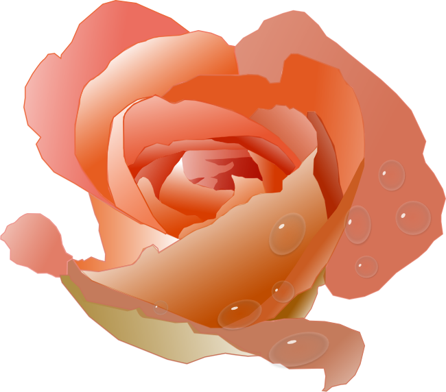clipart shapes rose