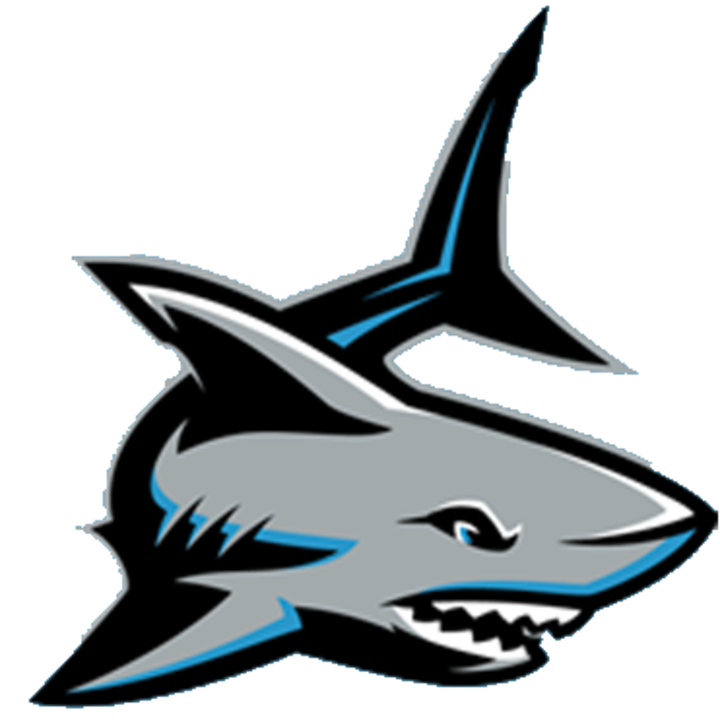 The shadow creek sharks. Clipart shark basketball