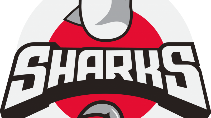 Clipart shark basketball. Sharks team logo skillshare