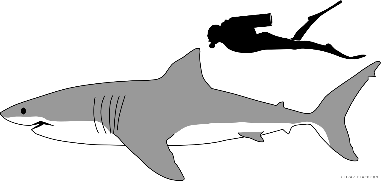 clipart shark black and white