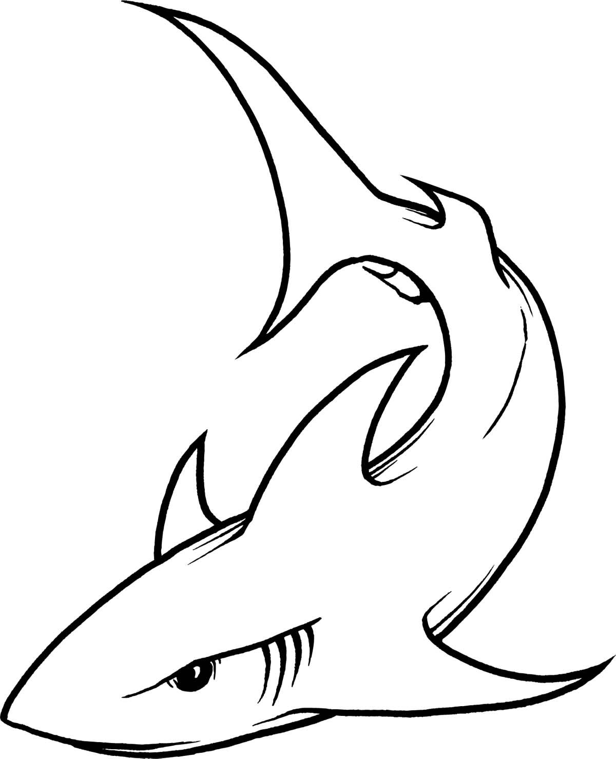 Best tattoos and piercings. Clipart shark body