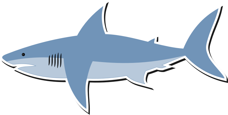 clipart water shark