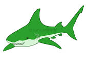 clipart shark green