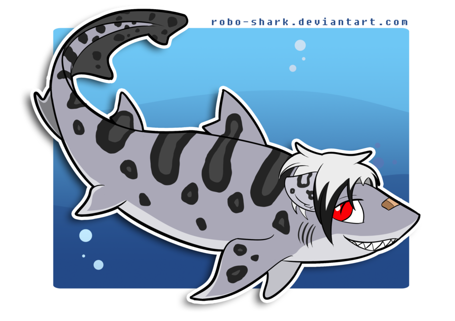 clipart shark leopard shark