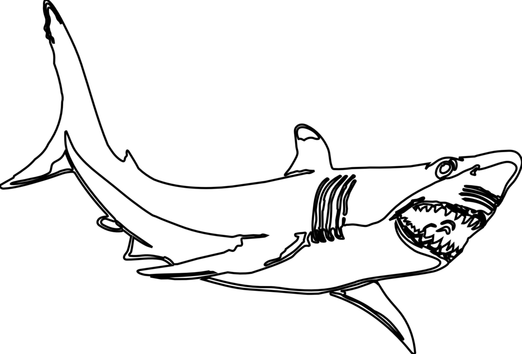Luxury template ideas example. Clipart shark mako shark