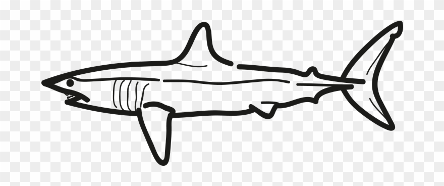 Shortfin pinclipart . Clipart shark mako shark
