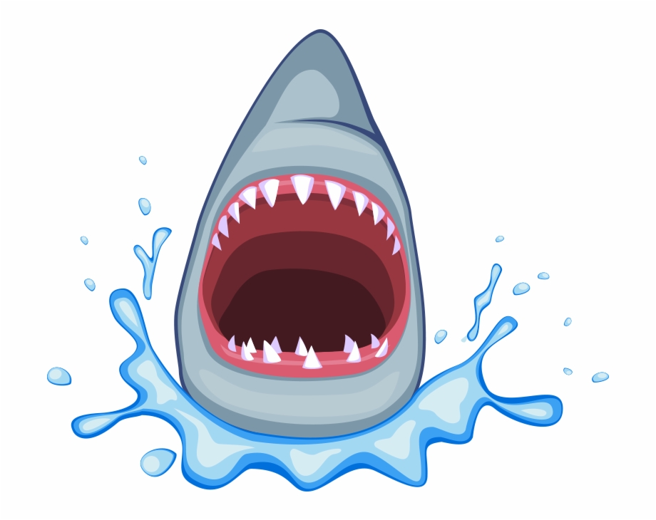 Clipart shark open mouth. 