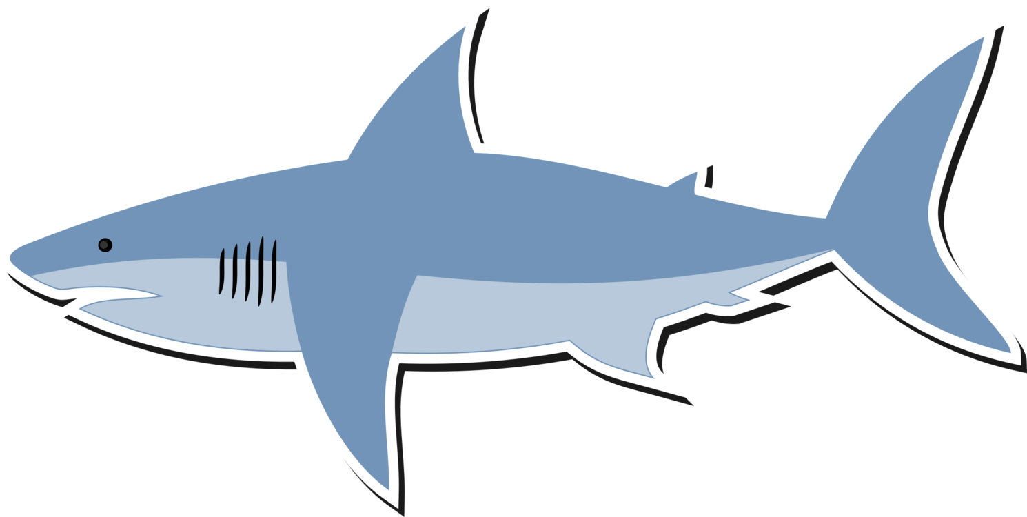 Marine biology png royalty. Clipart shark organism