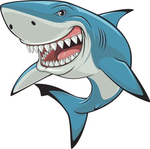 clipart shark realistic