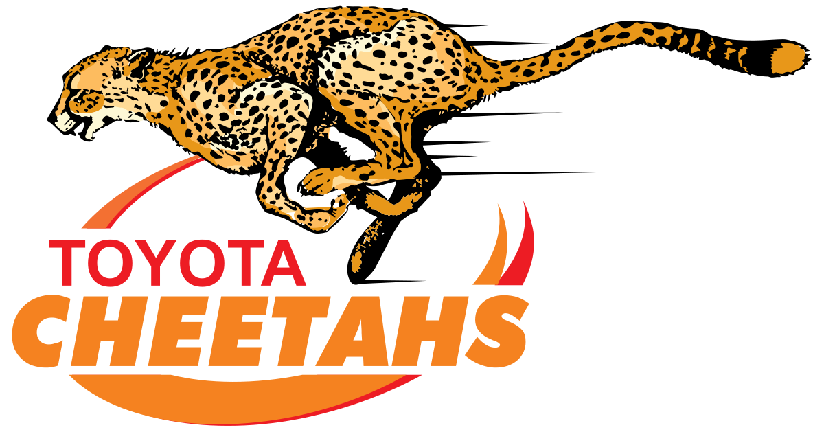 Leopard clipart chita. Cheetahs rugby union wikipedia
