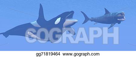 clipart shark scene
