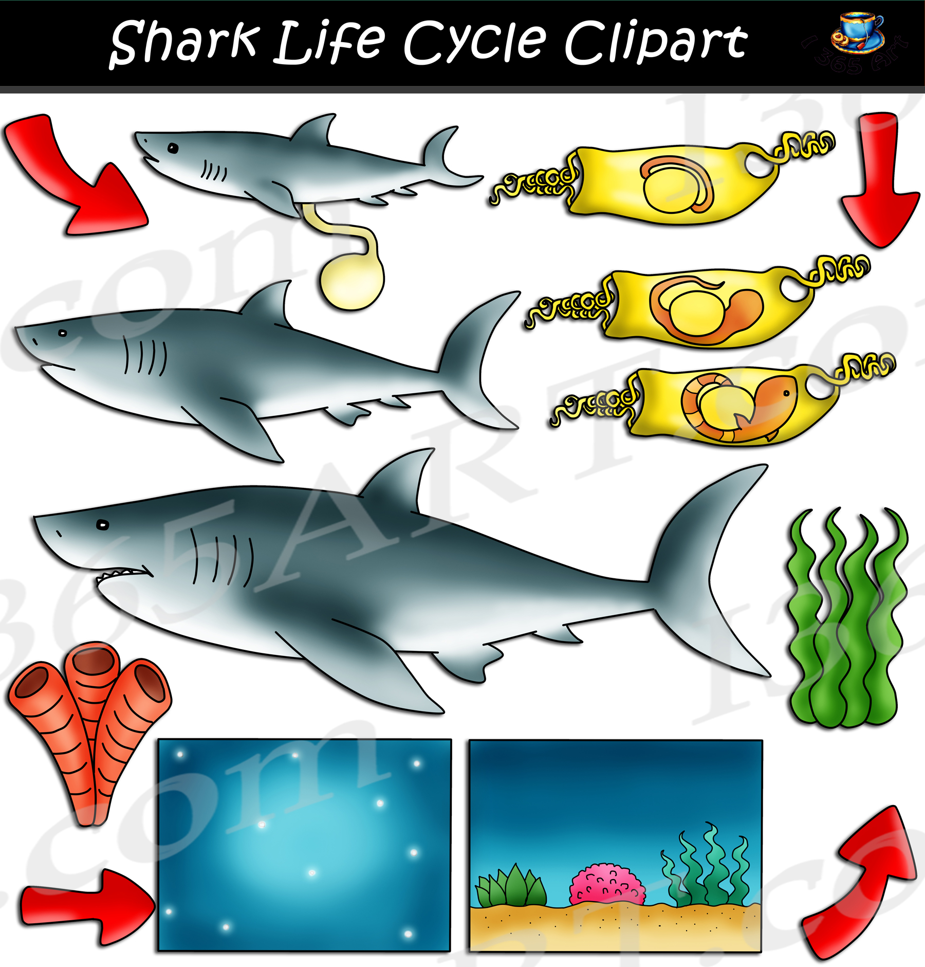 clipart shark school