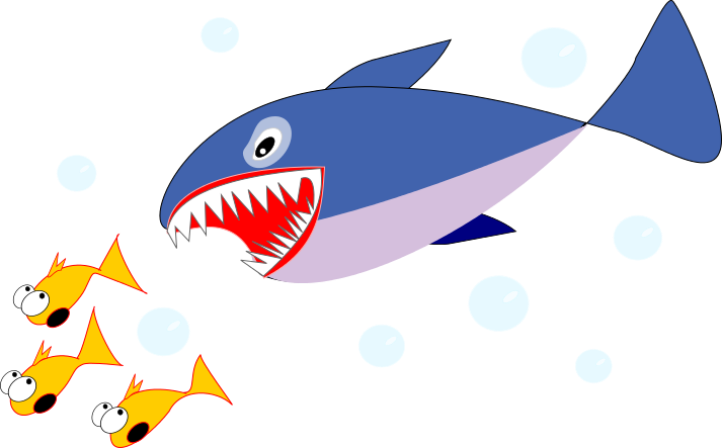 clipart shark shark fish
