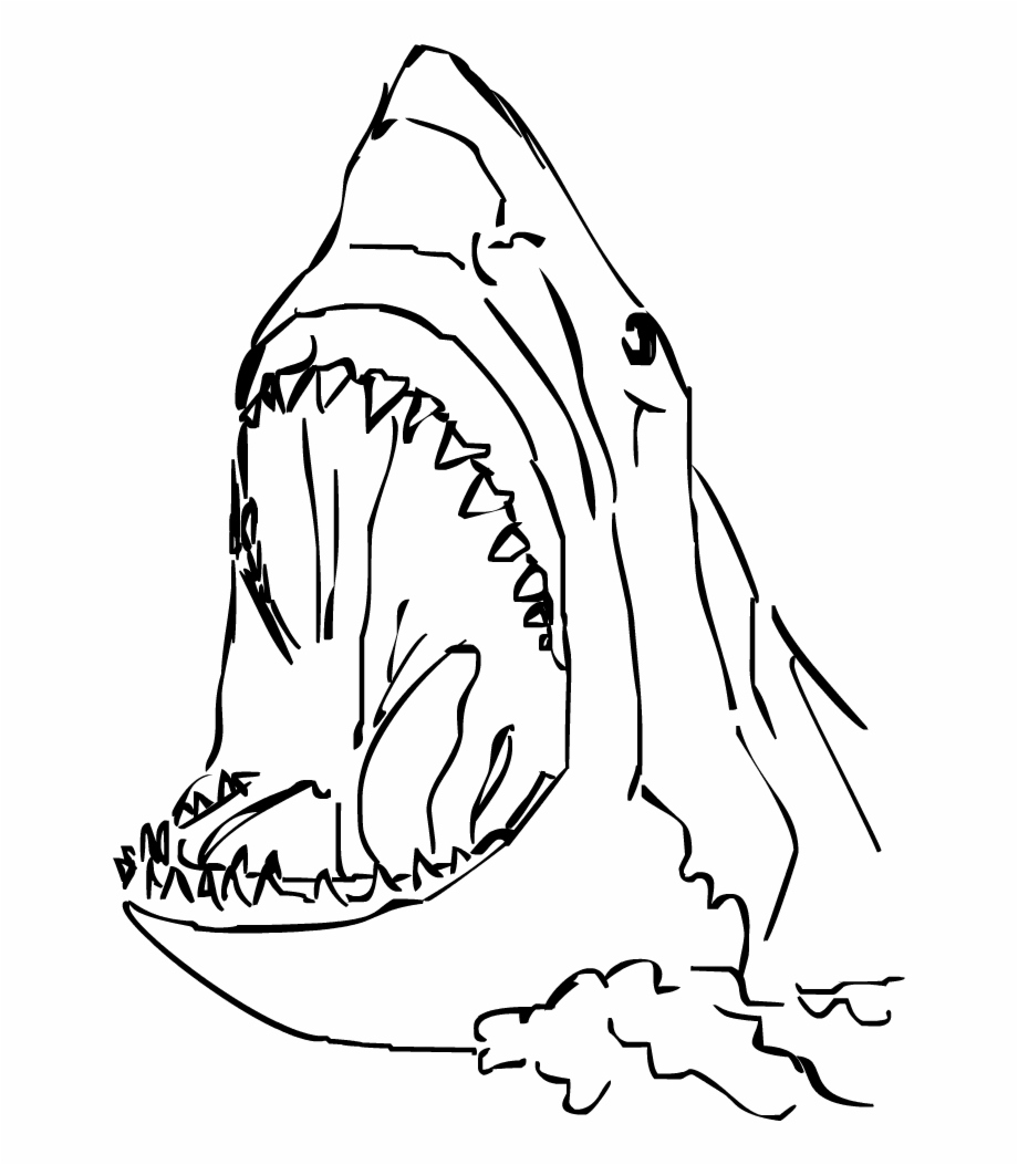 clipart shark simple