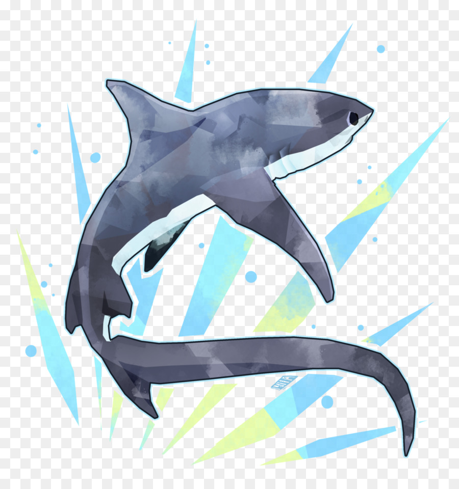 clipart shark thresher shark