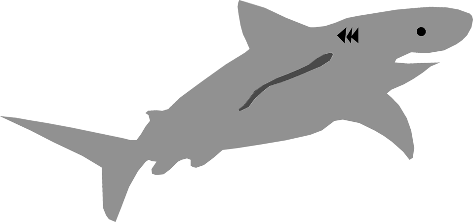diver clipart swim with shark