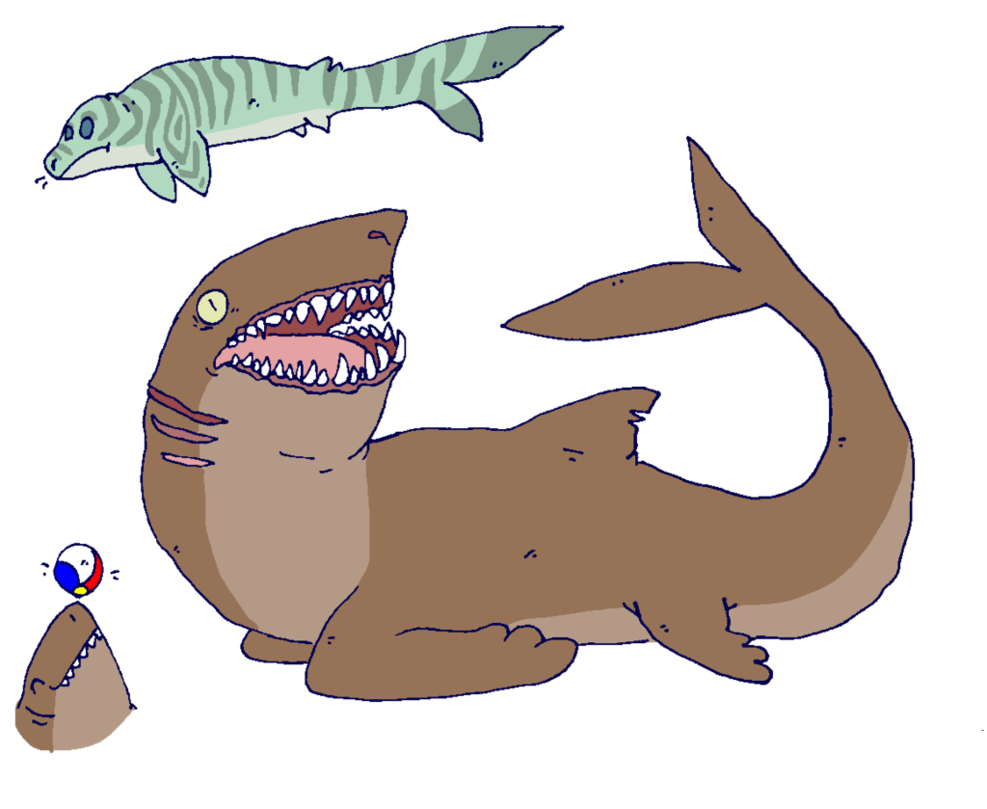 clipart shark vertebrate
