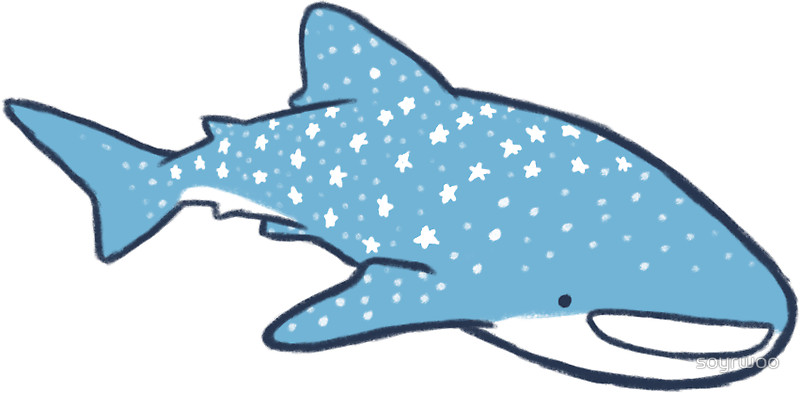 clipart whale whale shark