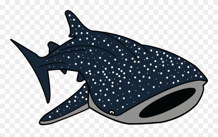 clipart shark whale shark
