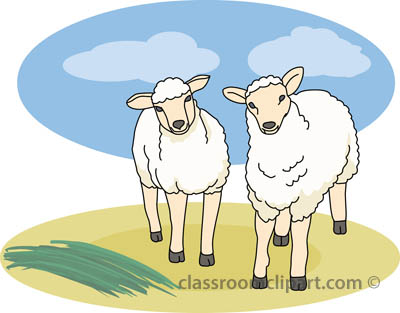 clipart sheep 2 sheep
