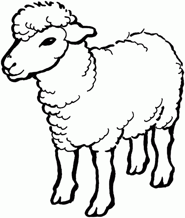 Lamb clipart draw. Free sheep pictures for