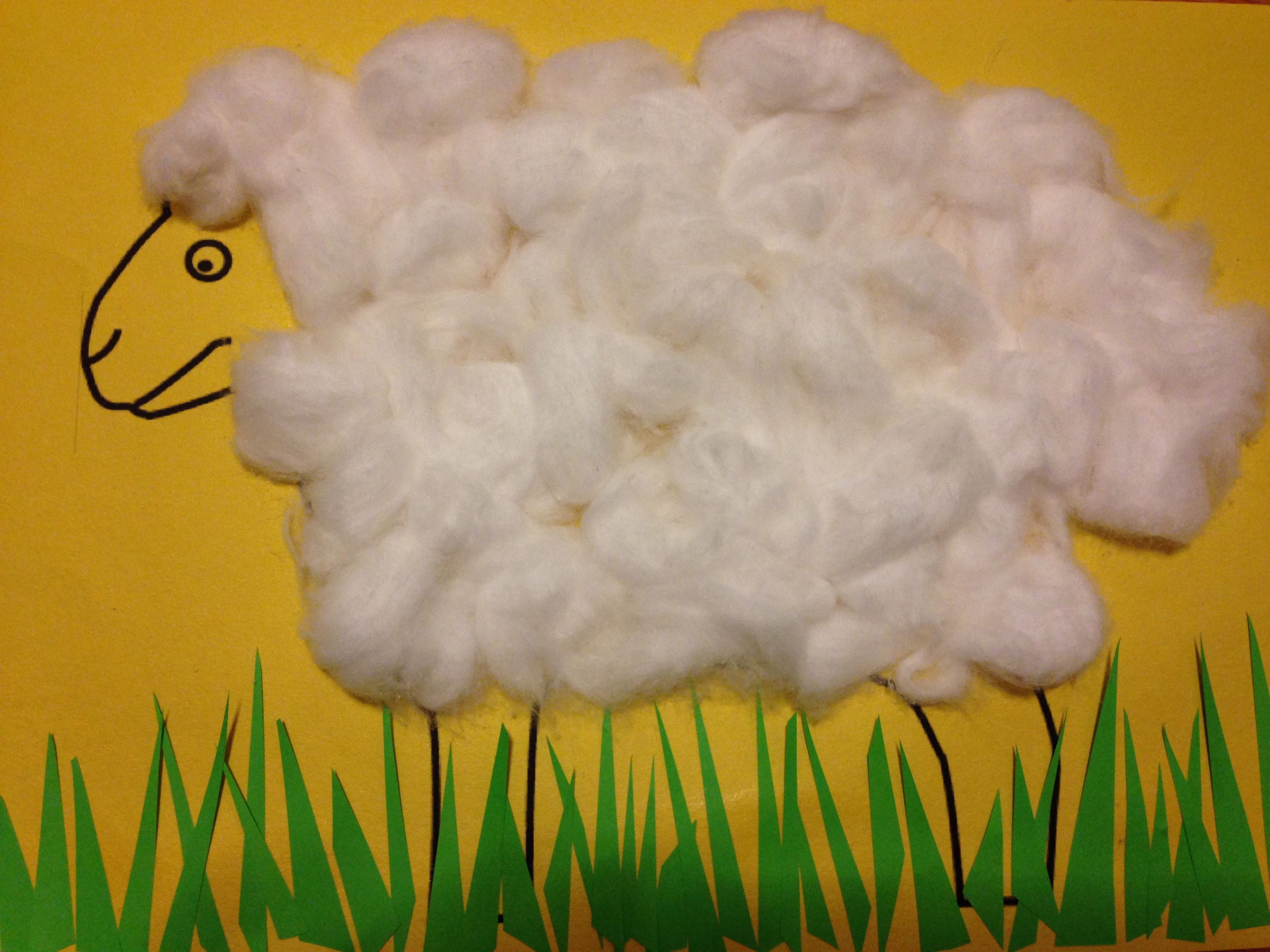 sheep clipart cotton wool