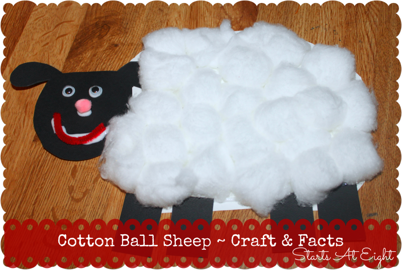 Ball craft facts startsateight. Clipart sheep cotton wool