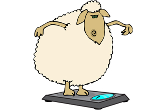 Clipart sheep fat sheep. Are your church s