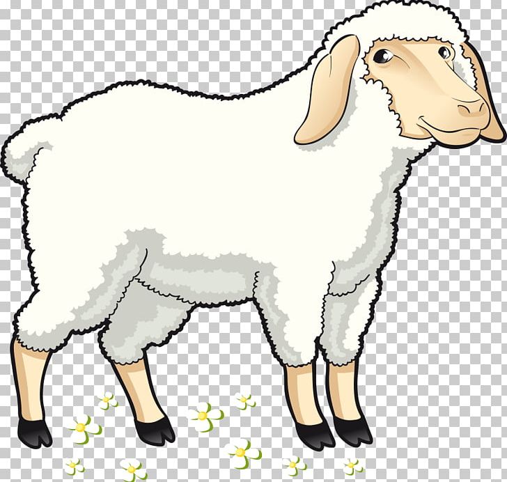 clipart sheep goat