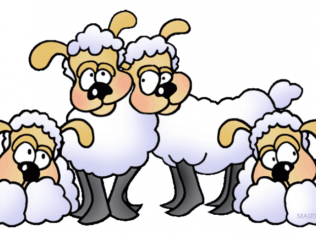 clipart sheep herd sheep