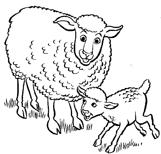 Clipart sheep lamb. Black and white 