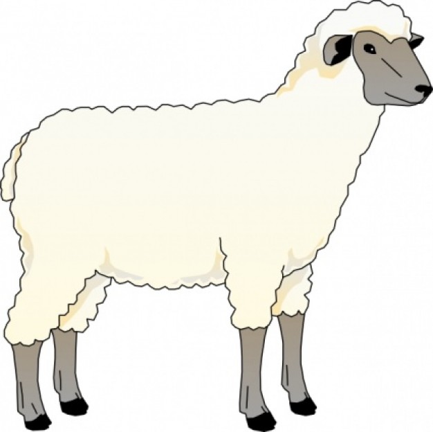 Free market cliparts download. Clipart sheep lamb