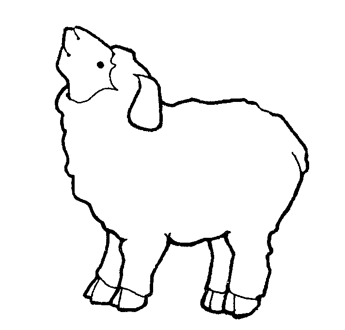 sheep clipart outline