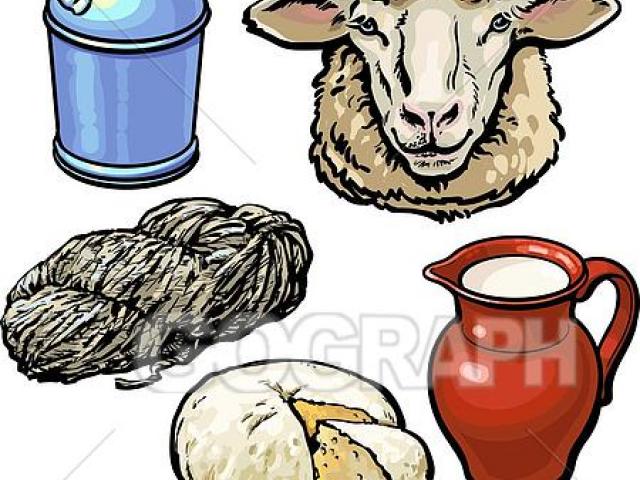 clipart sheep product