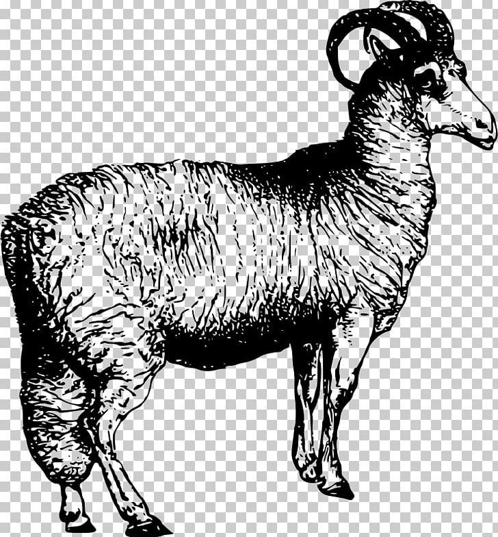 lamb clipart sheep welsh