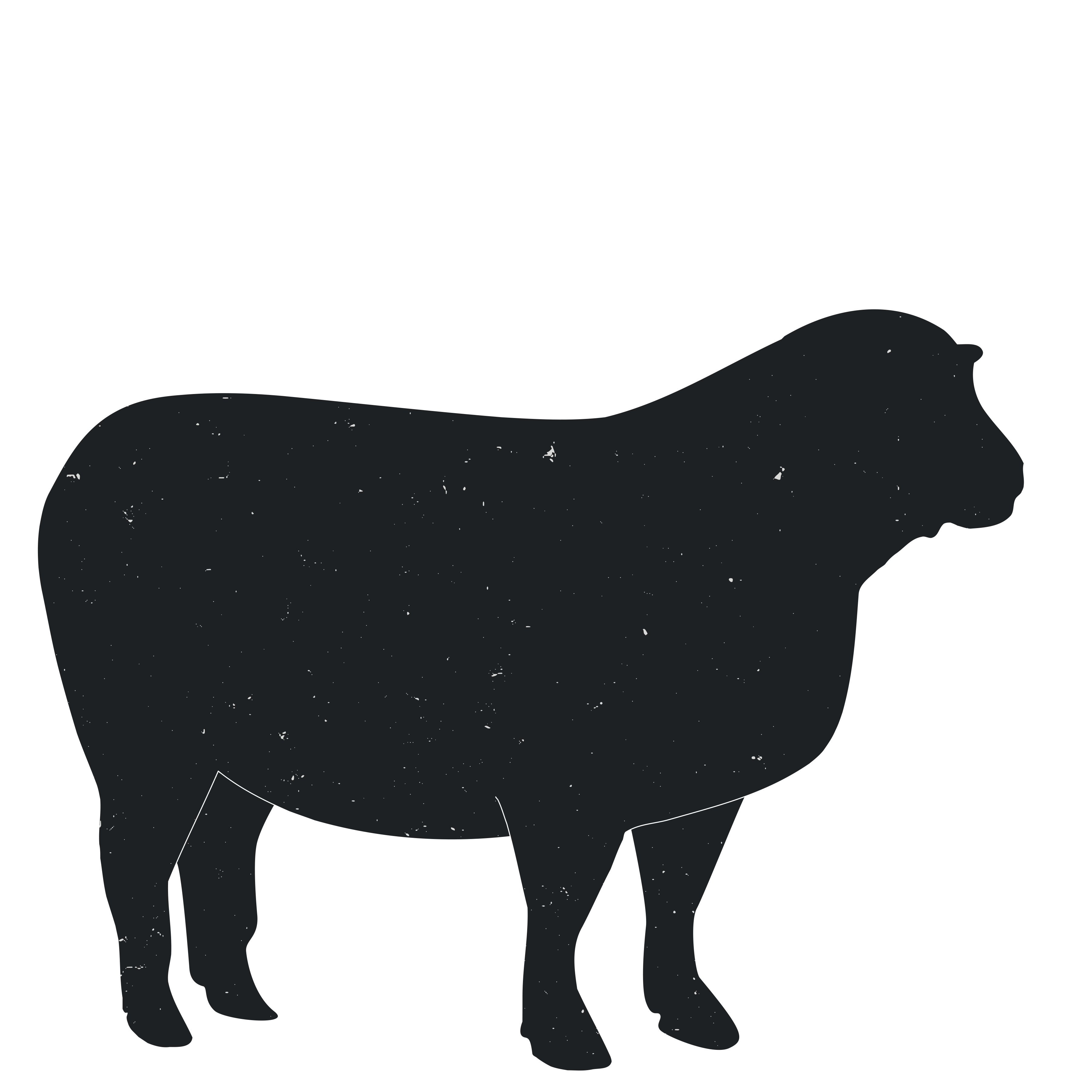 silhouette clipart sheep