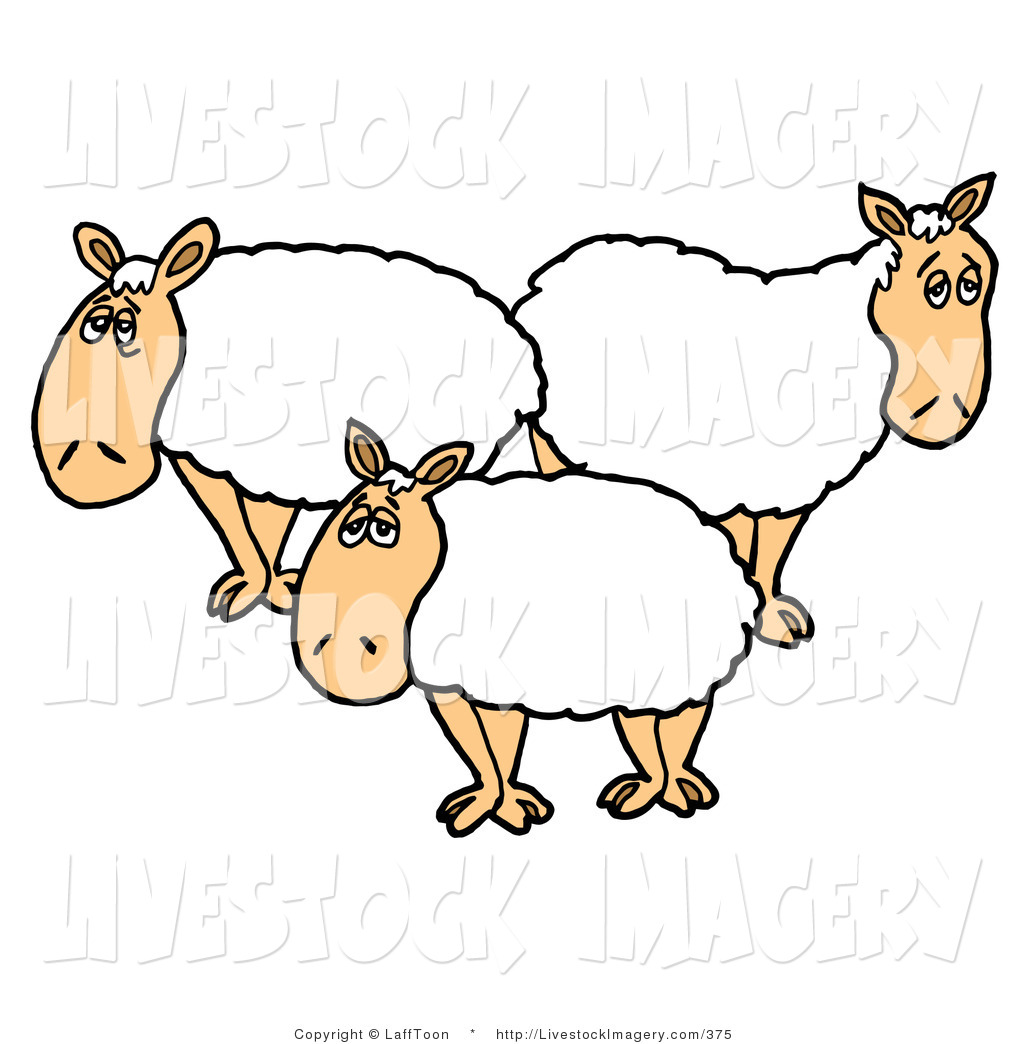 clipart sheep three
