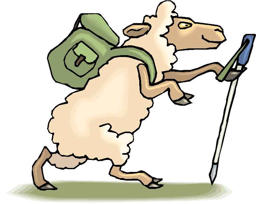 clipart sheep walking