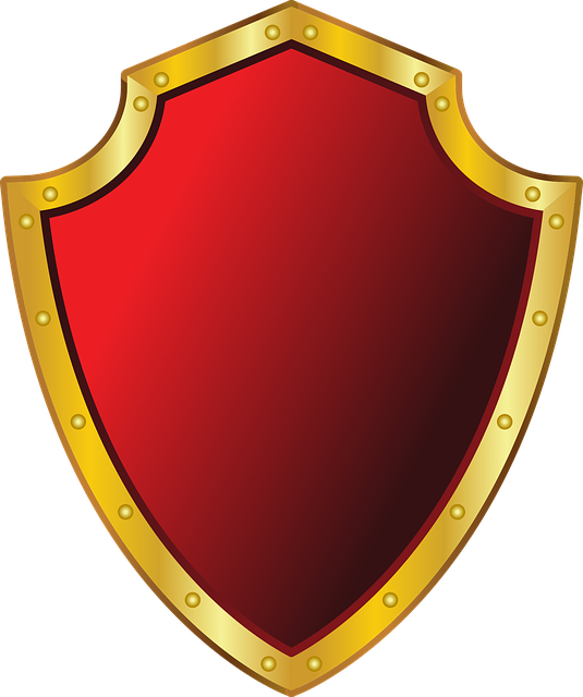 clipart shield armour shield